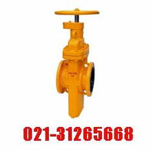 進口燃氣閘閥 福林fring進口閥門