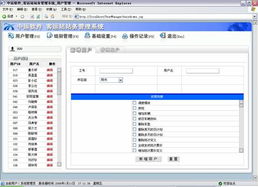 鏈接智慧，驅(qū)動(dòng)未來 廣州中運(yùn)計(jì)算機(jī)軟件有限公司的計(jì)算機(jī)系統(tǒng)服務(wù)體系